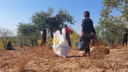 تحت غطاء القانون: نظام الأسد يشرعن نهب أراضي نازحي إدلب